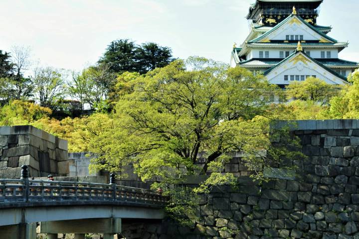 Essential Japan by Travel Talk - 8-Day Tokyo to Osaka Tour Review - Kawaguchiko brings a chance to see Mount Fuji