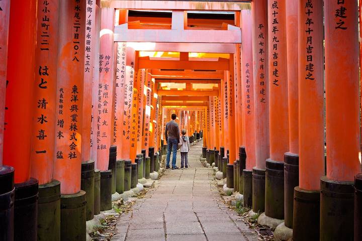 Essential Japan Explorer - 13 Days by On The Go Tours: Tokyo to Osaka Review - Practical details before you book