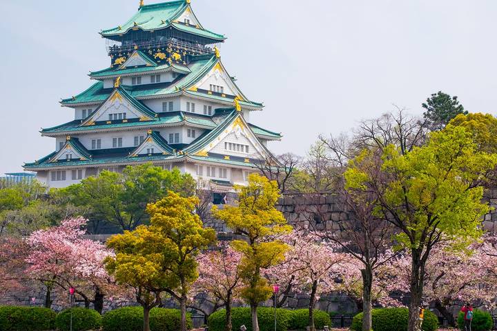 Essential Japan Explorer - 13 Days by On The Go Tours: Tokyo to Osaka Review - Fuji views and Shimoda’s coastal past
