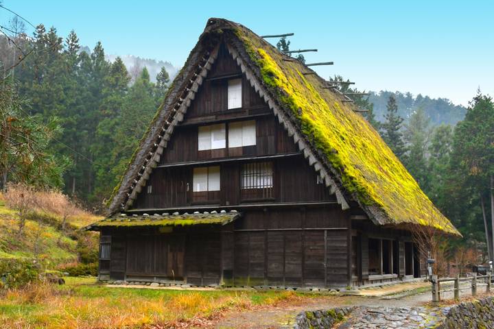 Eternal and Traditional Japan by Europamundo - 9-Day Tour Review - At a glance: the moments that define this tour