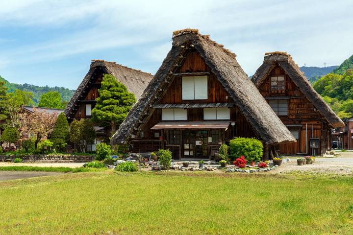 Eternal and Traditional Japan by Europamundo - 9-Day Tour Review - Day 2 on Mount Koya: a cemetery walk and a monastery night