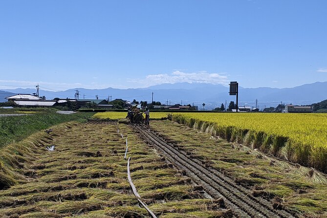 eTour de Matsumoto - Electric Bike Tour - The price, group size, and what you receive