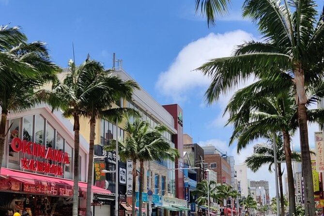 Exclusive Private Full Day Okinawa Island Tour with a Local Guide - Key points to know before booking