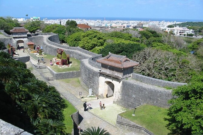 Exclusive Private Full Day Okinawa Island Tour with a Local Guide - Who will get the most from this day