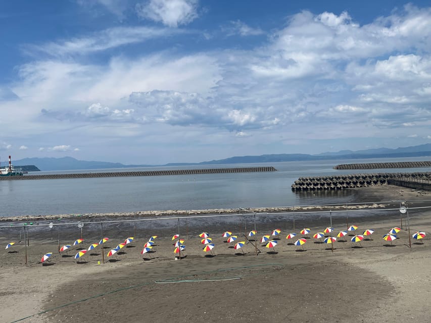 Experience the blessings of volcanoes in Kagoshima, Kyushu - Small Snacks and Local Shopping