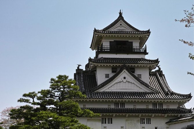 Experience the energy of Kochi: Sunday Market Tour includes Kochi Castle - Six details that make this Kochi tour useful