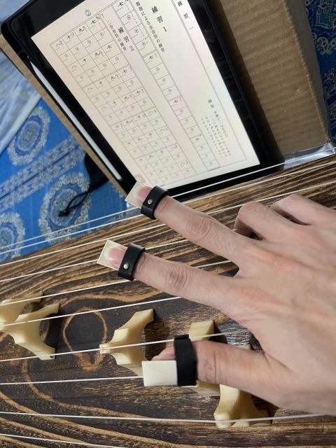 Experience the Soul of Hiroshima: A Peaceful Koto Workshop - Why a koto lesson belongs in a Hiroshima visit
