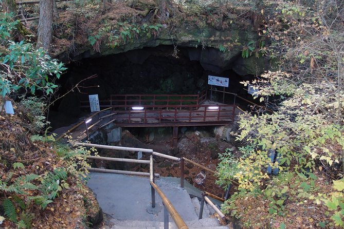 Experience the Stunning Nature of Mt.Fuji - Private Tour - Lake Saiko beside Aokigahara Forest