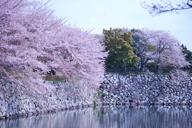 Explore Himeji Castle a Guided Walking Tour - Guide quality can shape the whole experience
