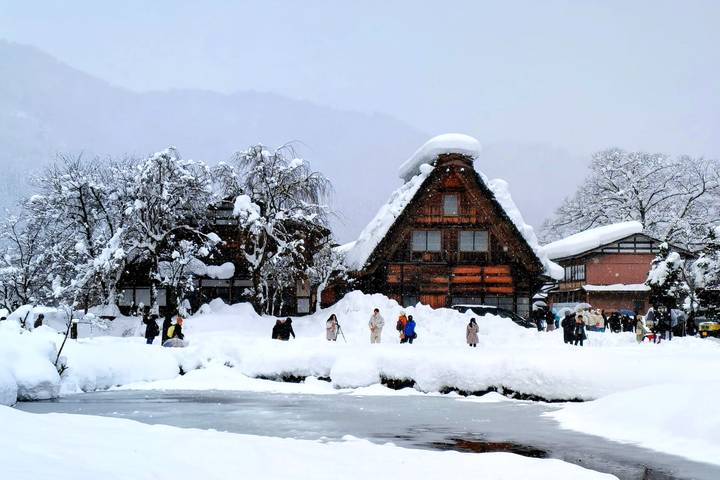 Explore Japan: Snow Monkey & Onsen (Private Guided) by Odynovo - 10-Day Tour - Tokyo begins with a calm shrine and a busy market