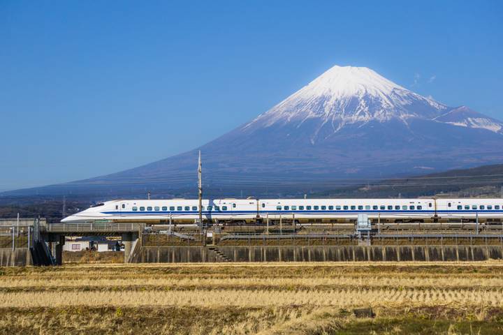 Explore Japan: Tokyo Tower, Red Toriis & Samurais by journaway DACH - 14-Day Tour - Osaka and Nara: neon after temples