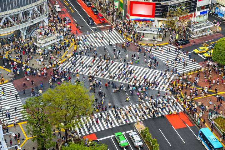 Explore Japan: Tokyo Towers, Torii Gates & Samurais by journaway DACH - 19-Day Tour - Miyajima: the torii gate changes with the tide