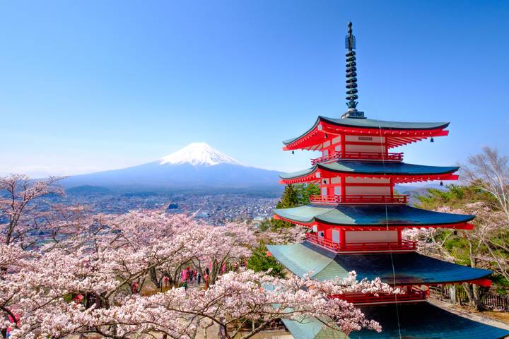 Explore Japan: Tokyo Towers, Torii Gates & Samurais by journaway DACH - 19-Day Tour - Hotels and transport: the details that shape the trip