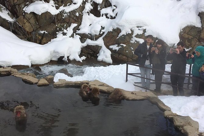 Explore Jigokudani Snow Monkey Park with a Local Guide - A local brewery stop for sake and beer