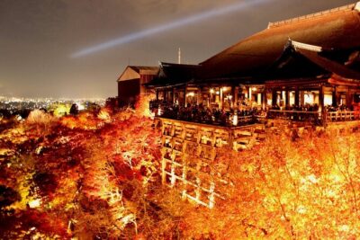 Explore Kyoto | Private Tour – Local English Driver(guide option)