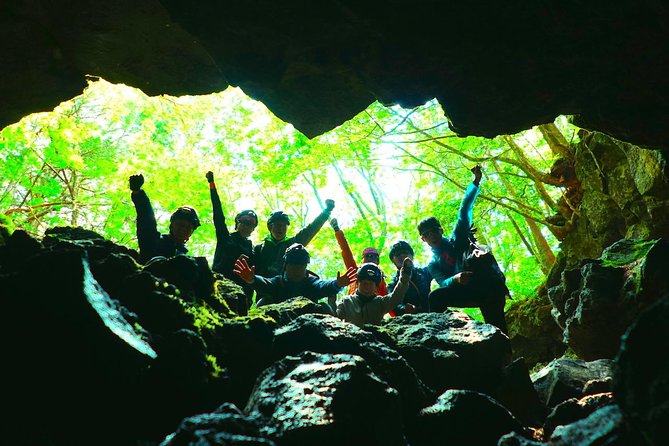 Explore Mt. Fuji Ice Cave in Aokigahara Forest - Aokigahara Forest gives the tour its atmosphere