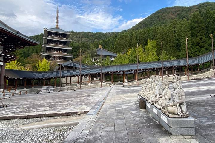 Feudal Japan with Japanese Alps by Europamundo - 10-Day Tour Review - Tokyo: temples, towers and Shinjuku after dark