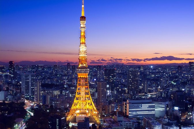 Flagship 2-Hours Official Street Go-Kart Tour - Tokyo Bay Shop - Key points before you book