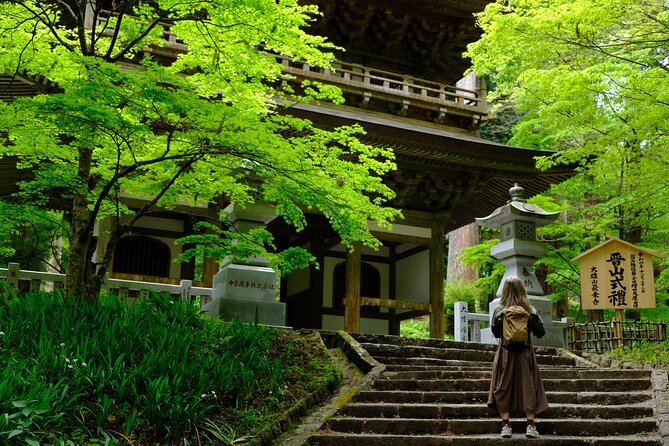 Forest Bathing in Temple and Enjoy onsen with healing power - What Makes This Half-Day Outing Special