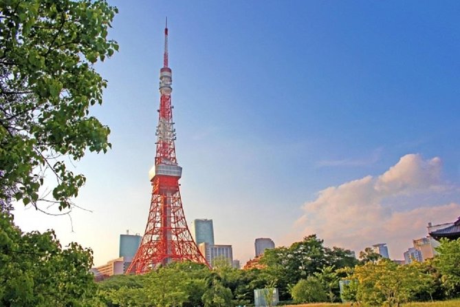Freely set up plans Guided Private Tours in Tokyo - Why a private Tokyo guide can save your day