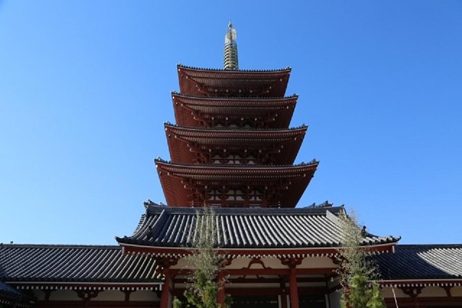 Freely set up plans Guided Private Tours in Tokyo - Ueno Zoo for a longer family stop
