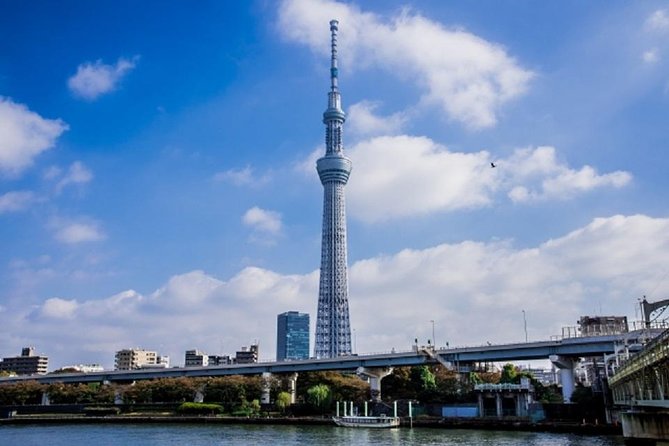 Freely set up plans Guided Private Tours in Tokyo - Shibuya Crossing in thirty minutes