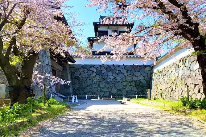 From Fukuoka Kyushu Itoshima Hidden Gems Day Tour - Totoro Forest is atmospheric but brief