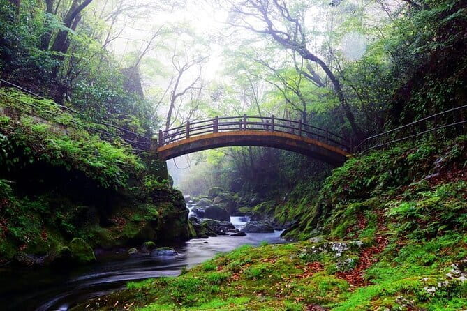 From Fukuoka: Miyazaki, Takachiho Gorge And Shrine Day Tour - Who will get the most from this tour