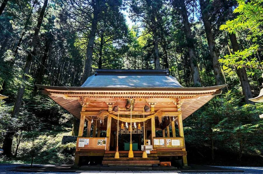 From Fukuoka: Miyazaki, Takachiho Gorge and Shrines Day Tour - Six details that shape the day
