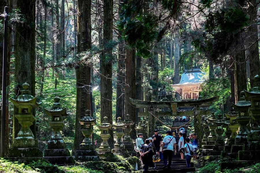 From Fukuoka: Miyazaki, Takachiho Gorge and Shrines Day Tour - Why this day trip is worth considering