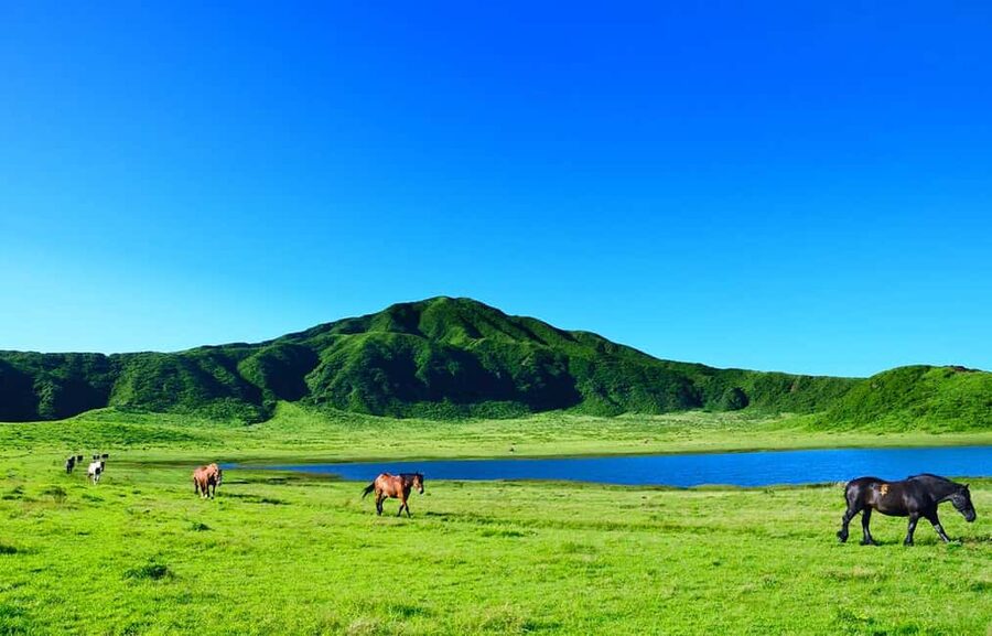 From Fukuoka: Mount Aso, Kurokawa Onsen, and Shrine Tour - Aso Shrine and the long memory of Kyushu
