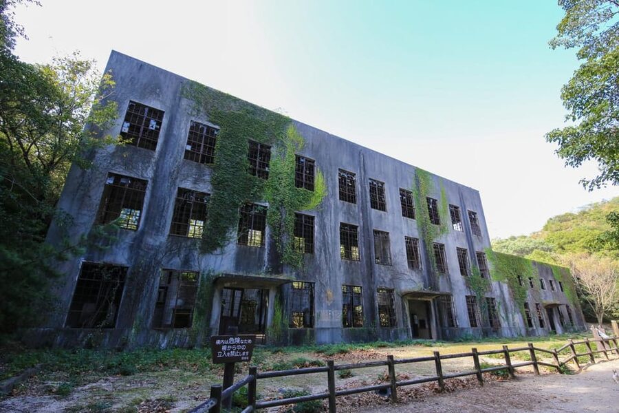 From Hiroshima: Rabbit Island and Takehara Town Tour - Key points to know before you book