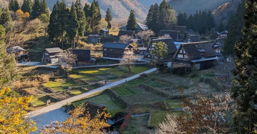 From Kanazawa: Shirakawa-go, Gokayama and Wood Carving Art - Key points to know before booking