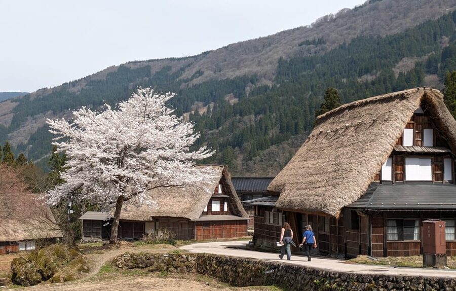 From Kanazawa: Shirakawa-go, Gokayama and Wood Carving Art - Shirakawa-go: the famous final act