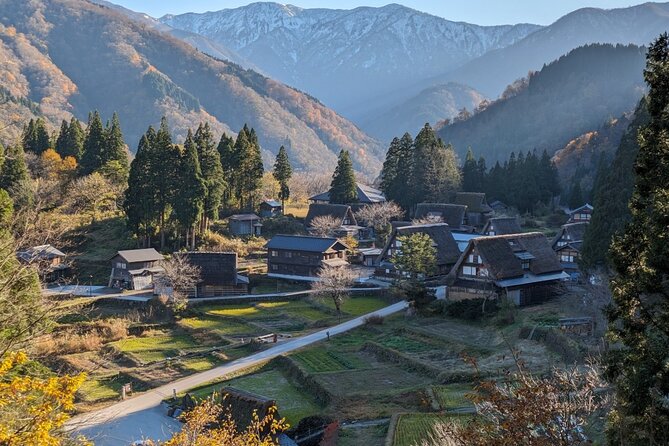 From Kanazawa: Shirakawa-go, Gokayama and Wood Carving Village - Inami wood carving and Zuizenji Temple