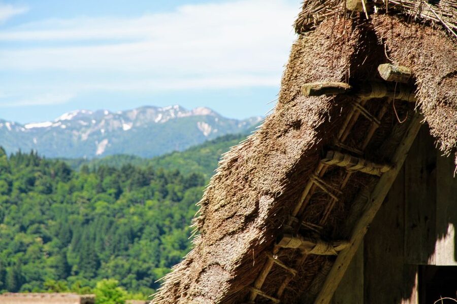 From Kanazawa: Shirakawago, Hida-Furukawa and Takayama Visit - Key Points Before You Book