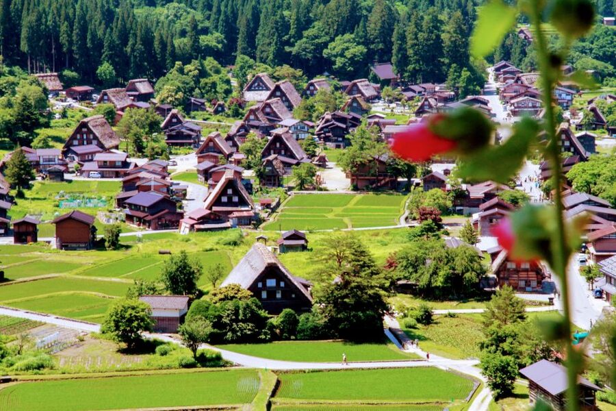 From Kanazawa: Shirakawago, Hida-Furukawa and Takayama Visit - Takayama’s Wooden Streets and Sake Traditions