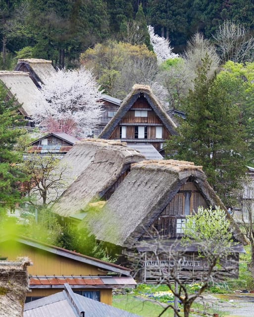 From Kanazawa/Toyama: Shirakawago and Takayama Day Tour - Key points to know before booking