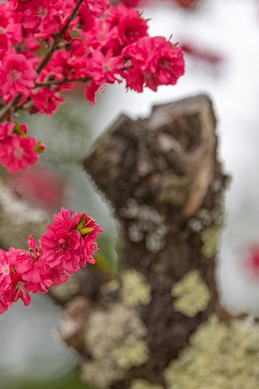From Kanazawa/Toyama: Shirakawago and Takayama Day Tour - Takayama Old Town and Takayama Jinya