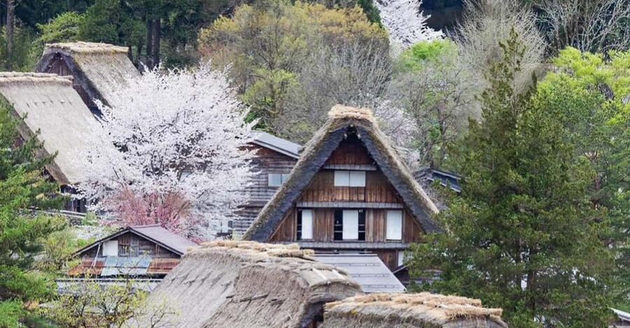 From Kanazawa/Toyama: Shirakawago and Takayama Day Tour - What the car and driver add to the day