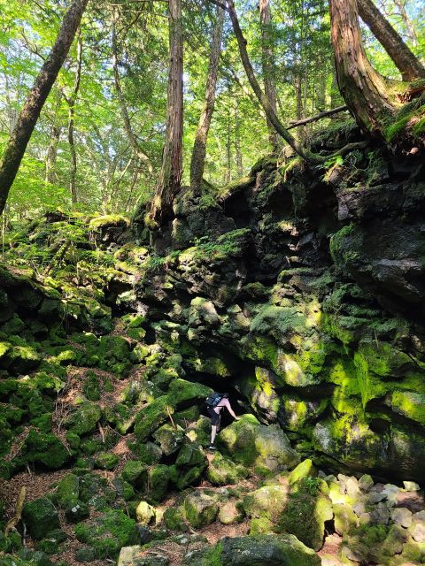 From Kawaguchiko: Mt. Fuji Private Tour with a Local Guide - Gardens, textiles, and a waterfall in the forest