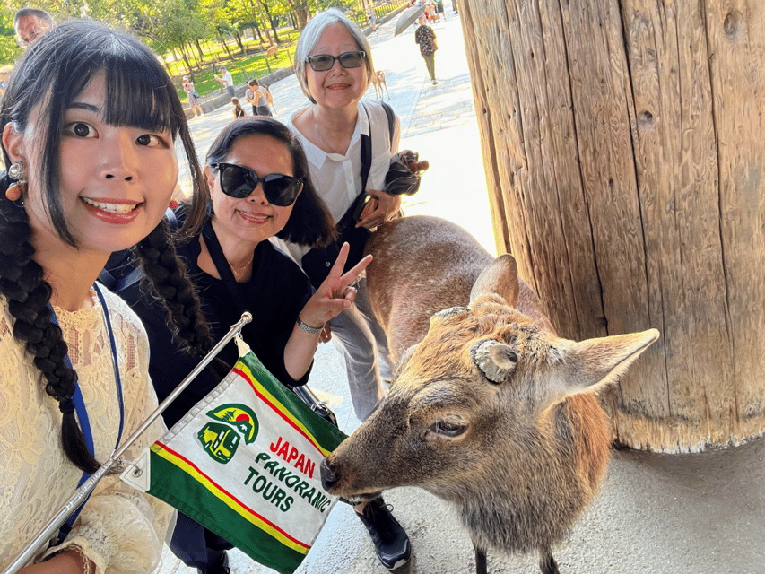 From Kyoto: Nara Guided Morning Tour - Walking, weather, and comfort