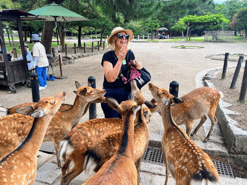From Kyoto: Nara Guided Morning Tour - Why this four-hour Nara trip works