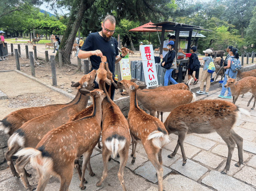 From Kyoto: Nara Guided Morning Tour - The guides make the short schedule work