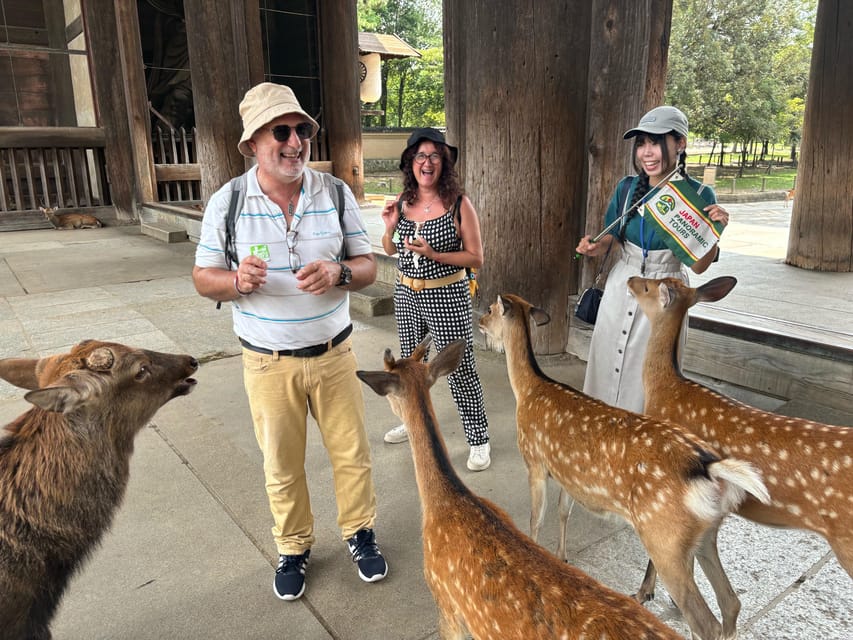 From Kyoto: Nara Guided Morning Tour - Meeting in Kyoto at 7:50 AM
