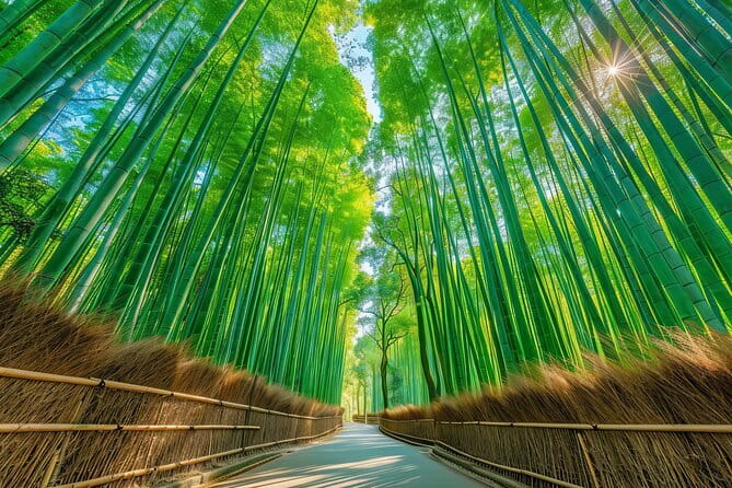 From Kyoto / Osaka: Kyoto Must-see Spots & Nara Park One Day Tour - Key points to know before booking