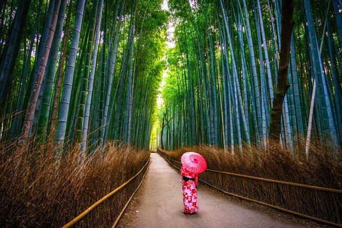 From Kyoto / Osaka: Kyoto Must-see Spots & Nara Park One Day Tour - Nara Park: deer first, temples second