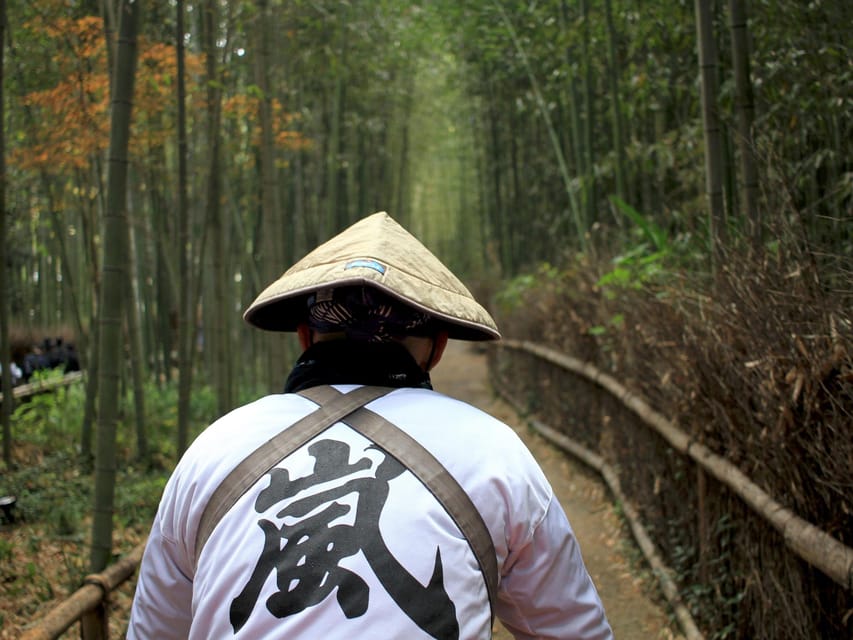 From Kyoto/Osaka: Kyoto Top Highlights 1-Day Guided Bus Tour - Who should book this Kyoto day trip?