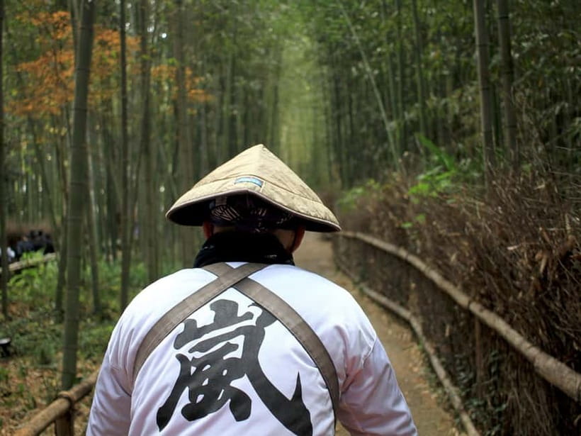 From Kyoto/Osaka: Kyoto Top Highlights 1-Day Guided Bus Tour - Kiyomizudera and the famous hillside stage
