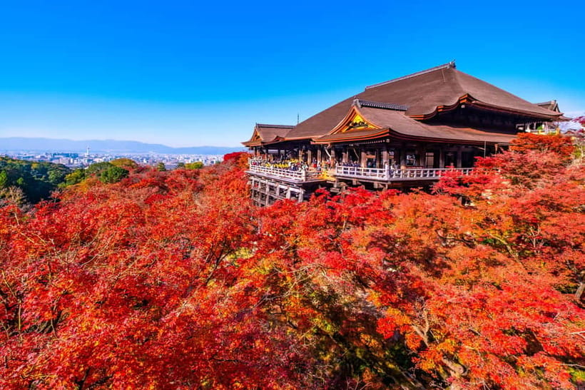 From Kyoto/Osaka: Kyoto Top Highlights 1-Day Guided Bus Tour - How the guide affects the experience